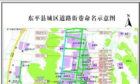 关于东平县城区新建道路拟命名方案的公示|东平县|城区|道路_新浪新闻