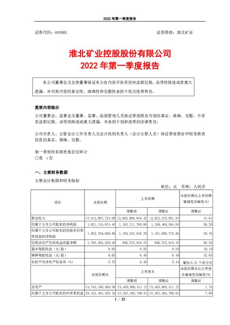 淮北矿业：淮北矿业控股股份有限公司2022年第一季度报告