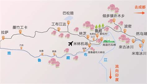 西藏林芝.全域旅游美食手绘地图定制设计|插画|商业插画|手绘地图_原创作品-站酷ZCOOL