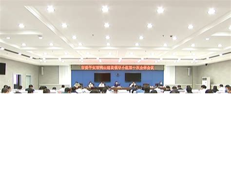 【黑龙江省】黑龙江省中心举办“产业振兴赋能”双鸭山市专场活动