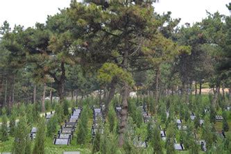 公墓墓园(多少钱,价格,价格明细,费用,报价,怎么收费,照片,作用,案例,说明,简介,材质,咨询,规划,哪家好,是什么) -- 金陵公墓