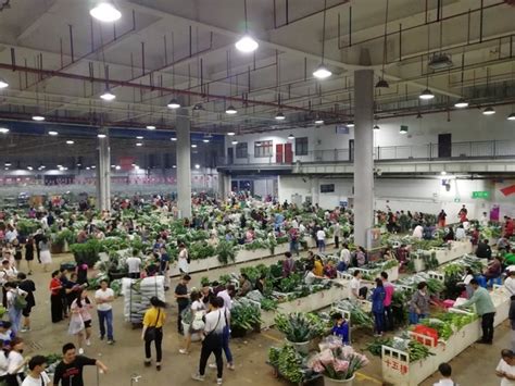 中国最大的花卉市场，鲜花白菜价，卖花像卖菜-阅读广场-湖北网-武汉城市生活门户 - www.hubeibbs.net
