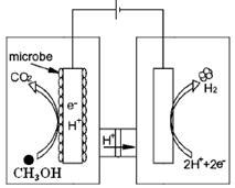 NH_3_N废水的电催化氧化技术研究_催化燃烧/吸附技术_土木在线