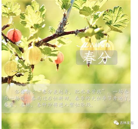 今日春分：立蛋、放风筝、踏青、吃春菜｜节气_文学爱好者