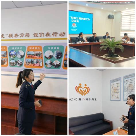 国家税务总局珠海市税务局挂牌成立-搜狐大视野-搜狐新闻