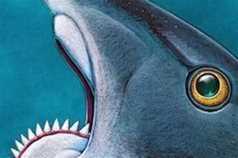 电影里令人胆寒的巨齿鲨：真是水里最凶猛的动物吗？_科技_环球网