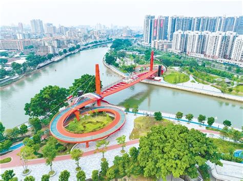 江门这些桥太惊艳了！总有一座是你喜欢的！_工作动态_江门市文化广电旅游体育局