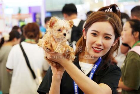 狗民网-2017亚洲宠物展 - 上海敖广展览策划有限公司
