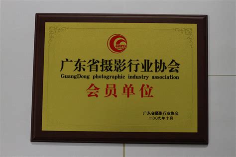 副会长 王 成-广东省摄影行业协会