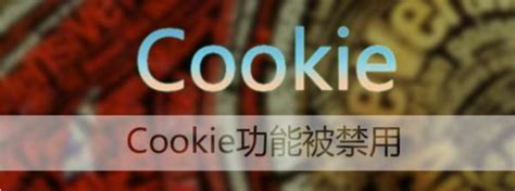 浏览器cookie开启方法 - IIIFF互动问答平台