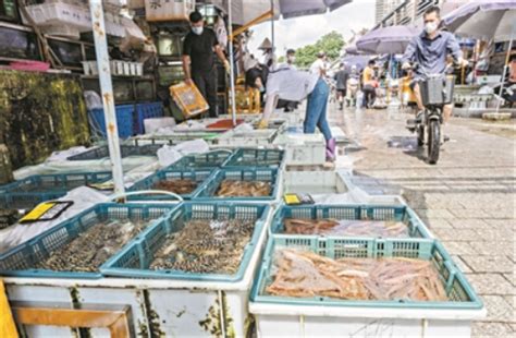 广州市“菜篮子”专业市场布局规划出炉 黄沙水产市场将搬迁至东洛围