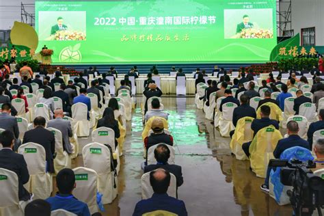 潼南携手遂宁安岳 打造世界级柠檬产业基地 - 重庆日报网