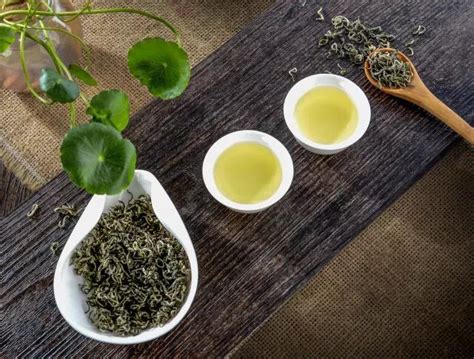 古树红茶和普通红茶的区别 鉴别方法-润元昌普洱茶网