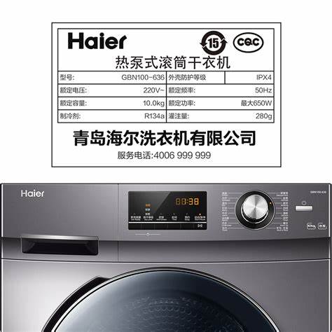 洗衣机10公斤是指干衣还是带水的