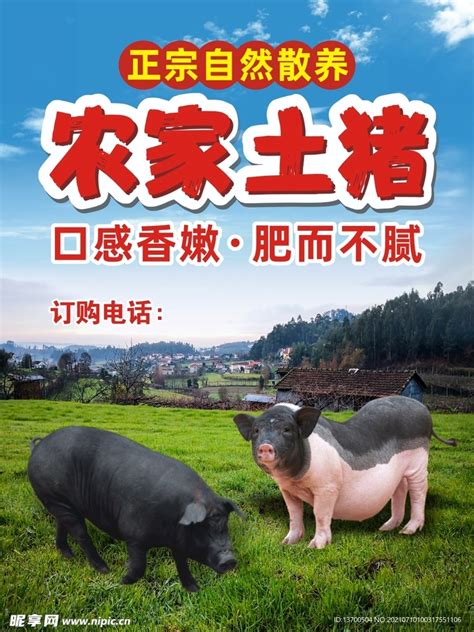 农家土猪设计图__广告设计_广告设计_设计图库_昵图网nipic.com