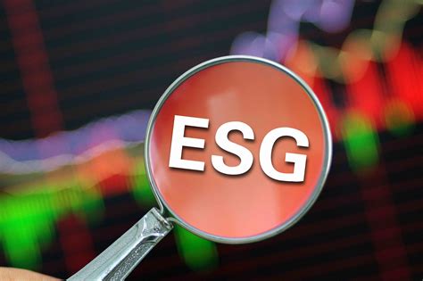 Wind ESG投资基金分类正式发布 伴随着越来越多的银行理财、保险资管和养老资金在投资中引入ESG理念，如何有效识别ESG基金产品并评价 ...