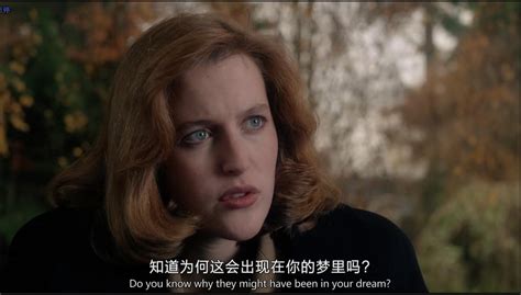 [电视剧][1993-2018][X档案.The X-Files 1-11季+电影版][BT迅雷下载] – VPSCHE小车博客