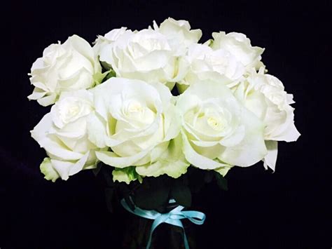 白玫瑰代表什么花语？原来送给不同的人白玫瑰的寓意也不一样！