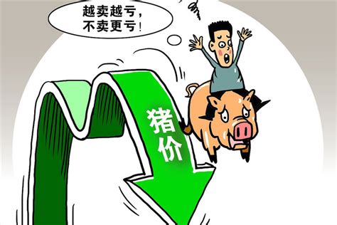 8月3日，猪价小跌后起飞，福建的“不稳定”会对猪价产生哪些影响__财经头条