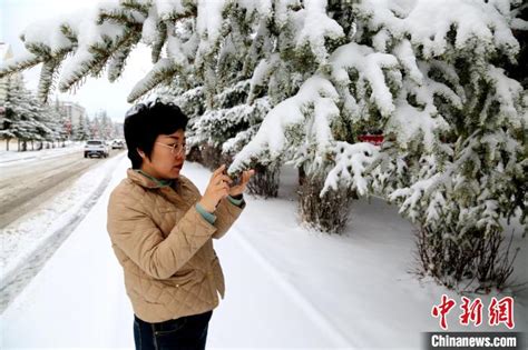 “中国最冷小镇”呼中：“雪挂”迎春美不胜收_手机新浪网
