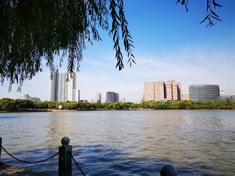 青山湖科技城 一座国际范儿新城的八个“瞬间”--今日临安
