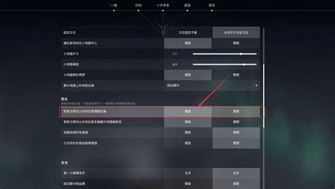 valorant怎么隐藏名字 valorant隐藏名字方法-梦幻手游网