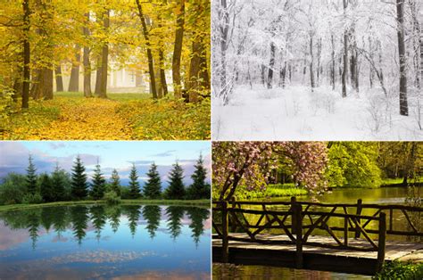 春夏秋冬的树摄影图片-春夏秋冬的树摄影作品-千库网