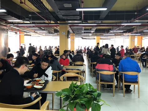 学生八食堂完成提质改造盛装重启-中南大学新闻网门户网站