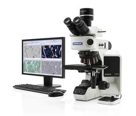 Advanced microscopy, simplified. - Olympus EMEA