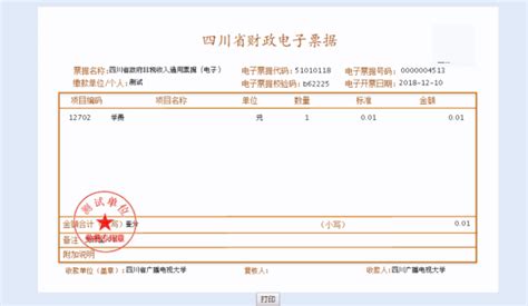 四川省政府非税收入通用票据是正式发票吗？
