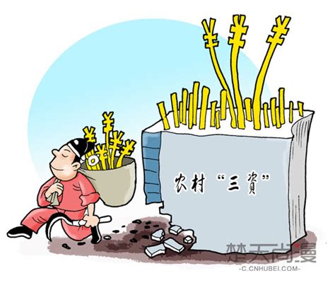 中国农村经济管理学