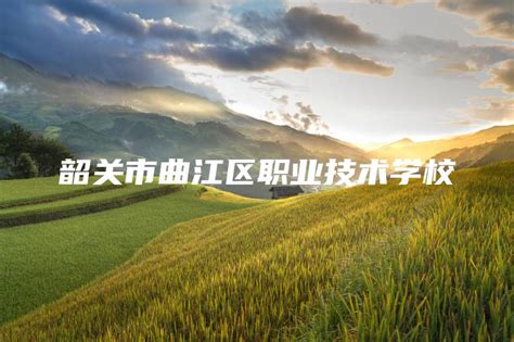 赞赞赞！台山10个农产品上榜省级名单！_澎湃号·政务_澎湃新闻-The Paper
