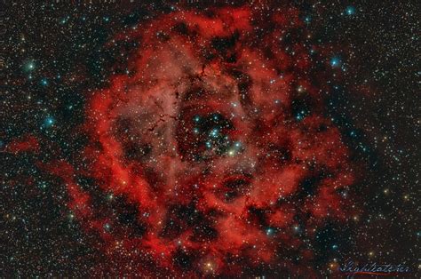 NGC2237号玫瑰星云图片