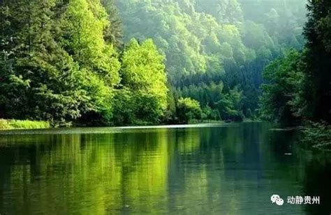 贵州黄果树瀑布的魅力来自于大自然的馈赠|大自然|贵州|黄果树瀑布_新浪新闻