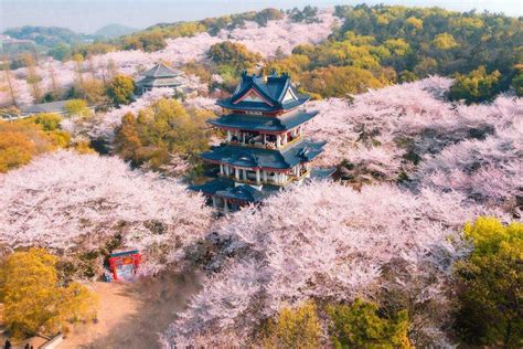 广东省最佳旅游景点排行榜-排行榜123网
