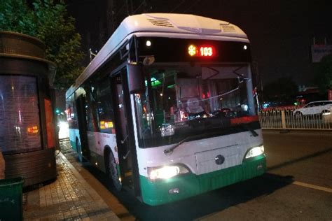 洛阳市公交车时刻表Word模板下载_编号qmmznmmj_熊猫办公