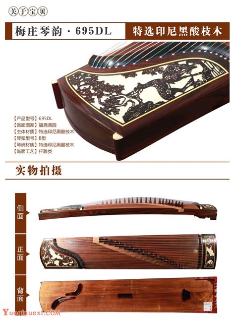 琴枝拿图艾特图片