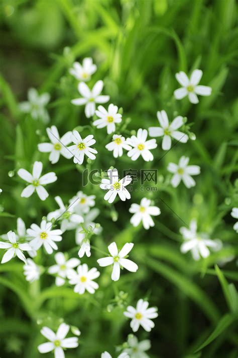 梦幻情侣朴寒星顶级小白花cr:Airpr图片