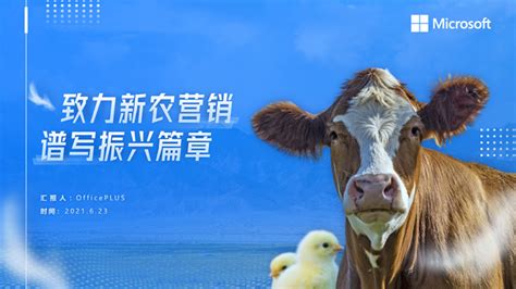中国家禽养殖行业市场前景分析预测报告