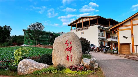 走，冬青姐姐带你去资阳临空经济区红碑村——原野民宿！ - 资阳九曲河门户网_资阳论坛_资阳城市生活门户