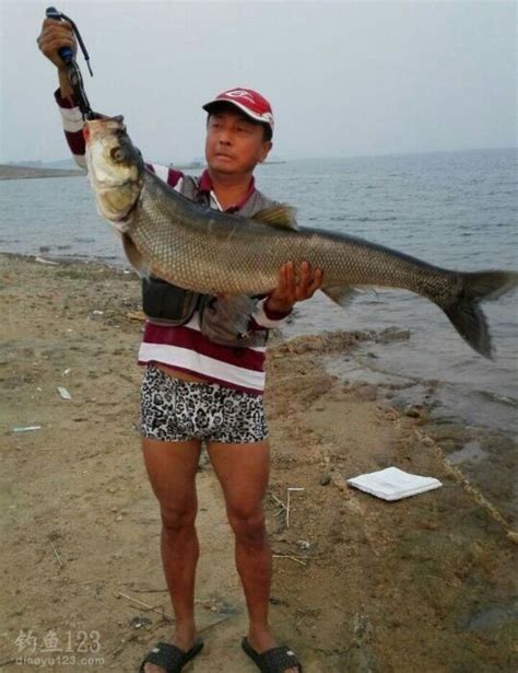 杭州千岛湖现180斤大青鱼 它的命运将会如何——人民政协网