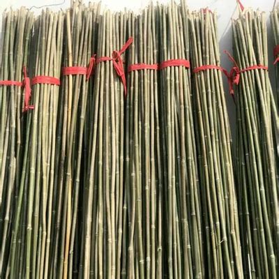 厂家批发加工各种规格天然原竹装饰装潢竹竿白竹竿竹片碳化竹竿-阿里巴巴