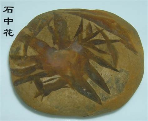 “太阳石”是大自然威力还是古人巧夺天工-雨花石文化-南京雨花石鹅卵石厂家