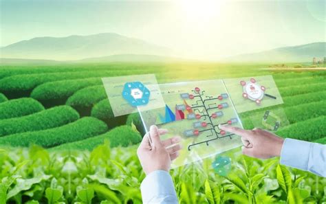 智慧农业：我国农业现代化的发展趋势_休闲农业与乡村旅游规划网