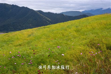 有山有树木的图片,林图片大全,树木山林图片_大山谷图库