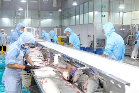 海水鱼产业技术体系信息化管理