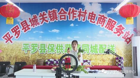 平罗：蔬菜搭上电商“顺风车”助商户线上“丰售”-宁夏新闻网