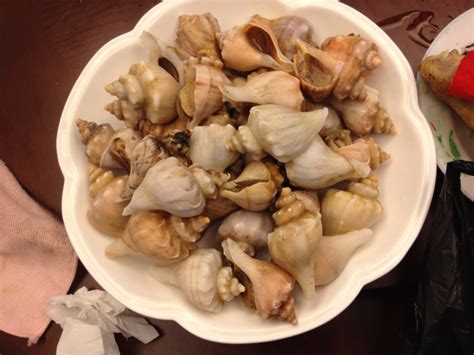 白灼海螺的做法_【图解】白灼海螺怎么做如何做好吃_白灼海螺家常做法大全_小C_豆果美食