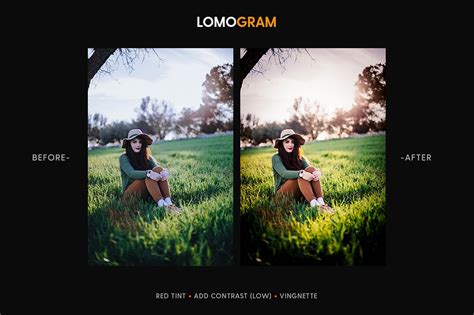 Lomo相机滤镜效果LR预设 Lomogram – Lightroom Presets – 设计小咖