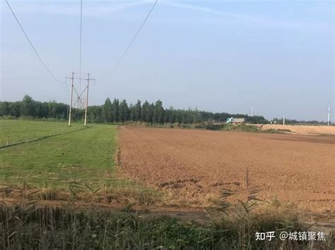 山东齐河县：200多亩耕地被种植草皮 耕地“非农化”亟需遏制 - 知乎